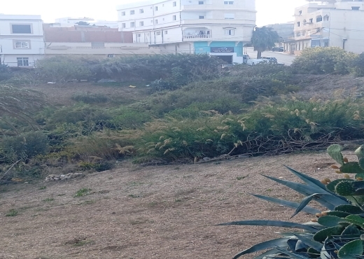 Terrain à Rafraf – Emplacement exceptionnel 🌅