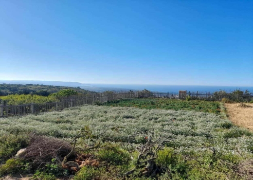 Terrainà  raf raf  de 2400 m².
