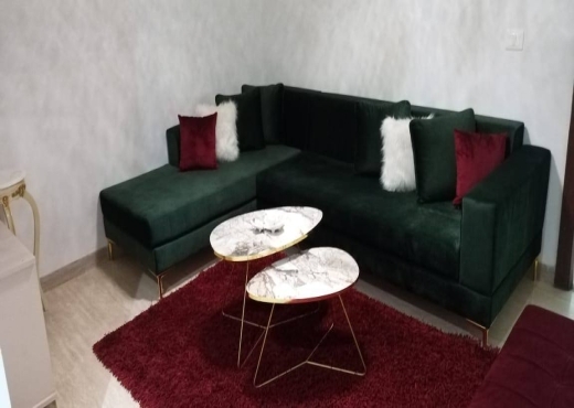 A Louer Appart S+1 Ain zaghouan