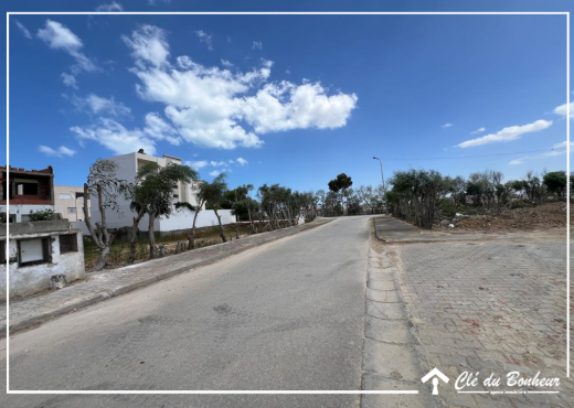 un terrain viabilisé à raoued