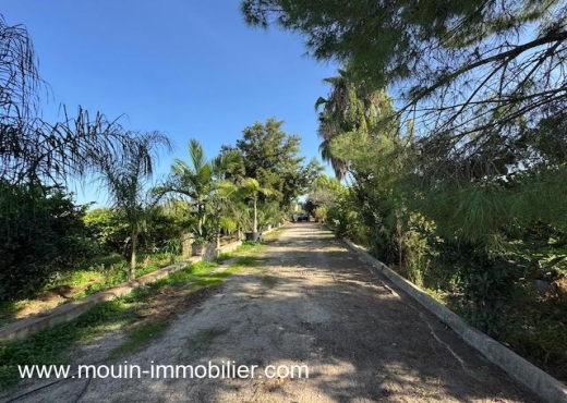 ferme À Vendre à NABEUL - Ferme Beni Khaled 2 T1225 Nabeul - Immobiliere.tn - Photo 2