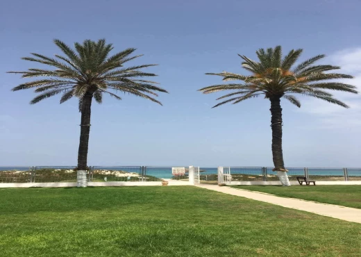 Appartement À Vendre à SOUSSE - À vendre S+2à Chatt Mariem - Immobiliere.tn - Photo 8