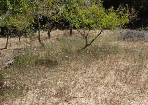 Terrainà  raf raf  de 2400 m².