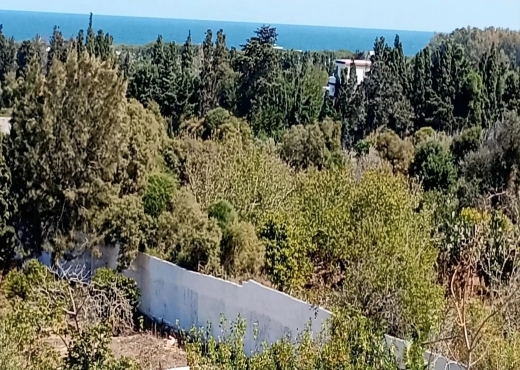 Ferme exceptionnelle située à Ras El Djebel