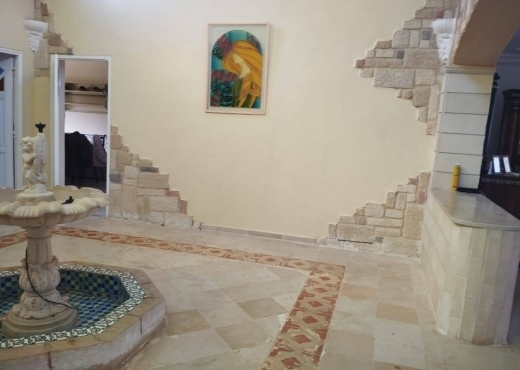 للبيع فيرمة جاهزة + فيلا