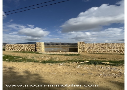 TERRAIN MZIRAA Hammamet T1024