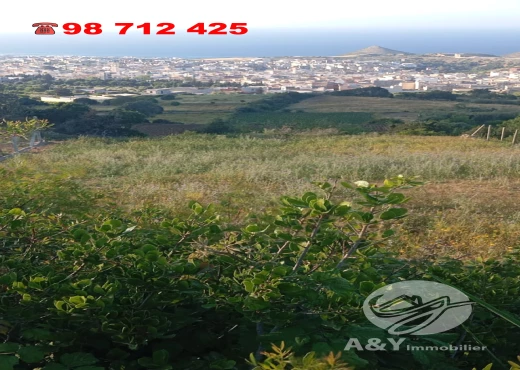 terrain À Vendre à BIZERTE - 📍 Terrain à vendre à EL NADHOUR – Rafraf - Immobiliere.tn - Photo 4