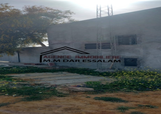 terrain À Vendre à NABEUL - terrain agricole à vendre - Immobiliere.tn - Photo 10