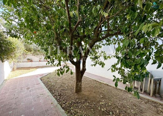 Location Duplex Luzei S+1