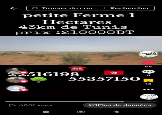 Une charmante petite ferme