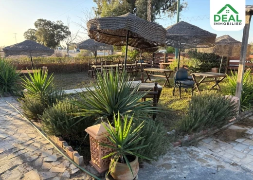 ferme À Vendre à SOUSSE - Opportunité d’investissement à vendre - Immobiliere.tn - Photo 9