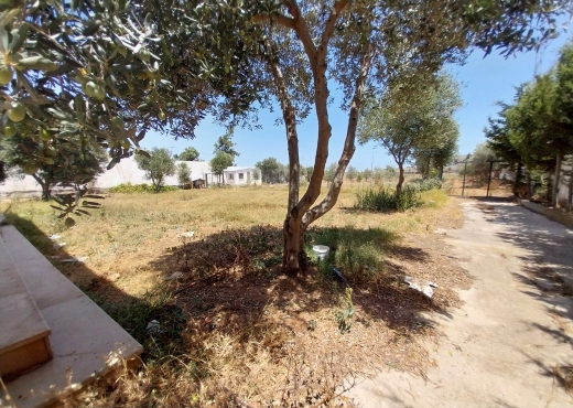 À VENDRE UNE VILLA S+3 À BORJ TOUI