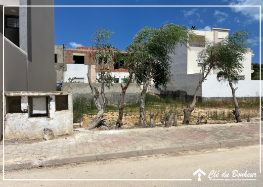 un terrain viabilisé à raoued