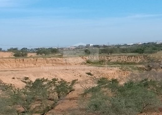 Vendre des terrains agricoles