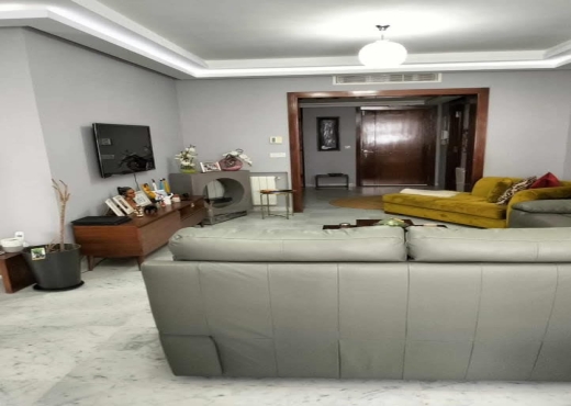 Grand S+3 a Vendre J de Carthage