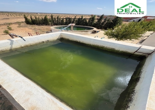 Seniya de 4 hectare et 5000 m² à vendre