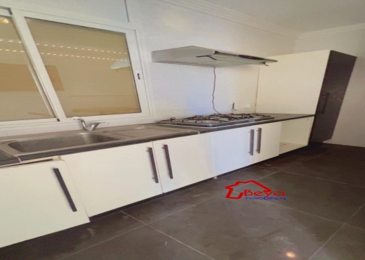 VENTE villa + 2 appartements