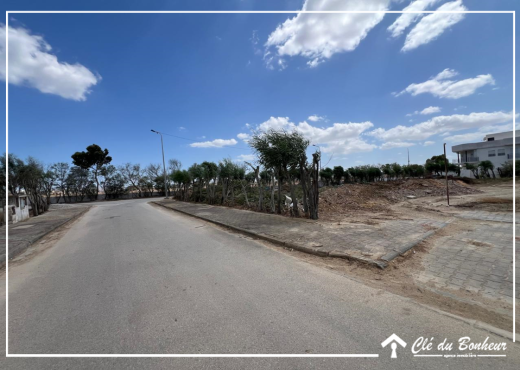 un terrain viabilisé à raoued