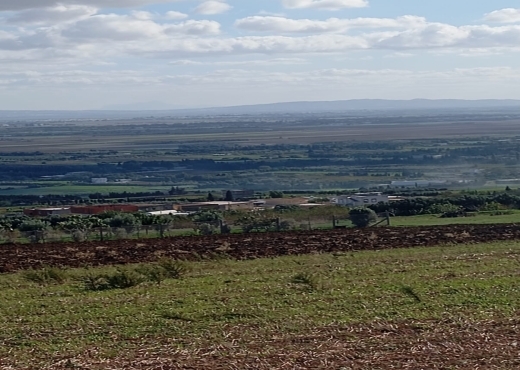 À vendre : Terrain agricole à Béjou