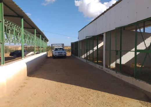A Vendre Projet Agricol Rte Gremda