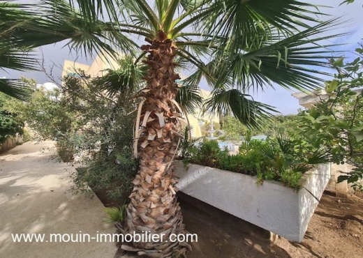 VILLA LIMA Hammamet Nord I AV1751