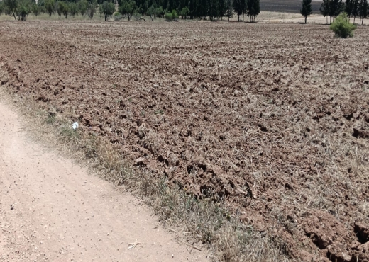 terrain agricole