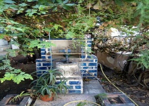 villa À Vendre à TUNIS - A vendre villa à renover Mutuelle ville - Immobiliere.tn - Photo 2