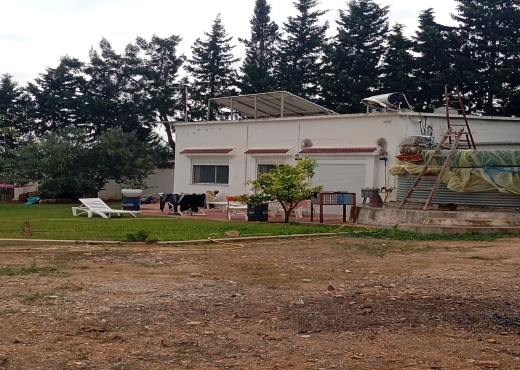 🏡 Terrain agricole bien équipé avec villa