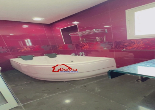 VENTE villa + 2 appartements