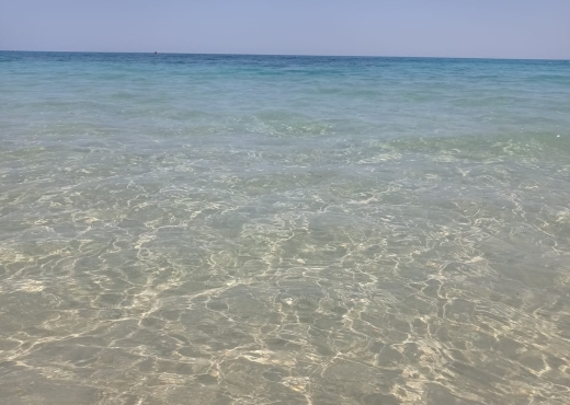 terrain À Vendre à SOUSSE - فرصة فريدة: امتلك عقاراً على البحر - Immobiliere.tn - Photo 2