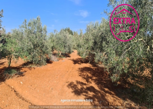 Vente Campagne à Ghardeya (Nabeul)