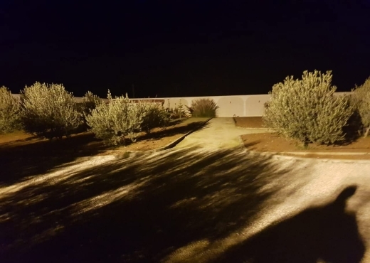 A Vendre ferme avec Villa à Sidi Thabet