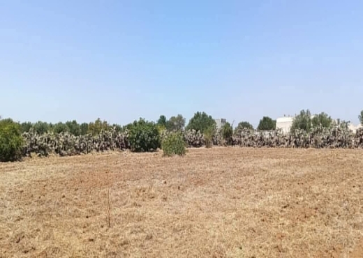 للبيع: أرض فلاحية في المكنين