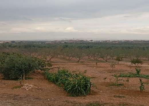 🏡 Terrain agricole bien équipé avec villa