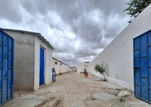 AL Dépôt de stockage Mornaguia 500