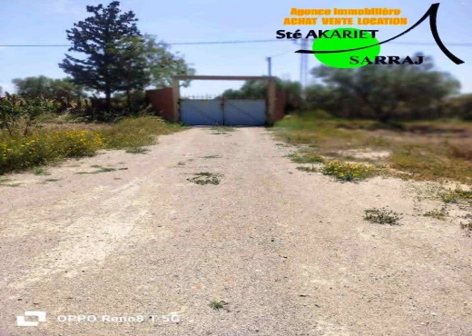 terrain À Vendre à SOUSSE - Terrain agricole a Sidi Bouali sou - Immobiliere.tn - Photo 2