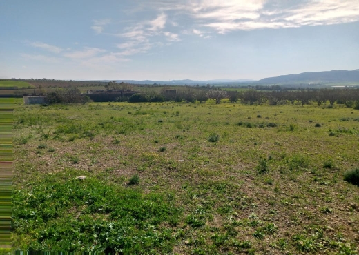 Terrain agricole 14hectares tborba