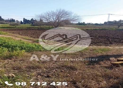 terrain À Vendre à BIZERTE - 🌿🌳 Terrain agricole à vendre – Gharel Melh 🌳🌿 - Immobiliere.tn - Photo 8