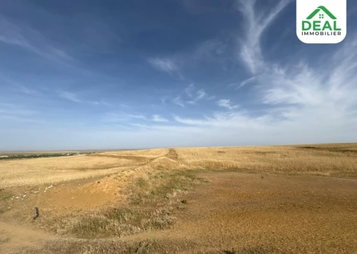 terrain À Vendre à SOUSSE - هنشير فلاحي يقع جهة كروسيا - Immobiliere.tn - Photo 2