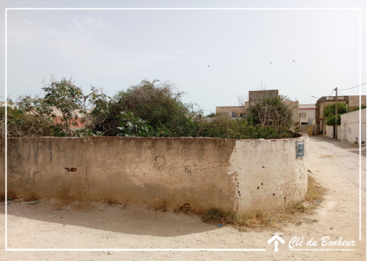 à vendre à sidi sofienne