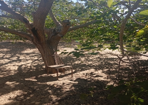 Terrain à vendre à Ras Jebel – Plage Suisseri 🌿🍃