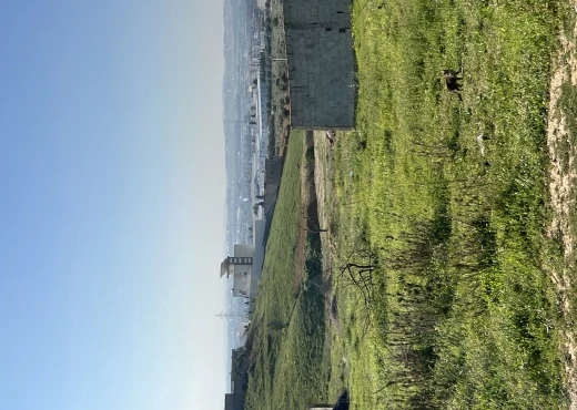 terrain À Vendre à MANOUBA - Terrains à vendre à Oued Ellil, Ci - Immobiliere.tn