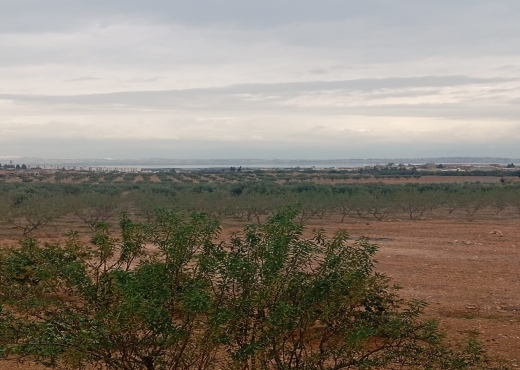 🏡 Terrain agricole bien équipé avec villa