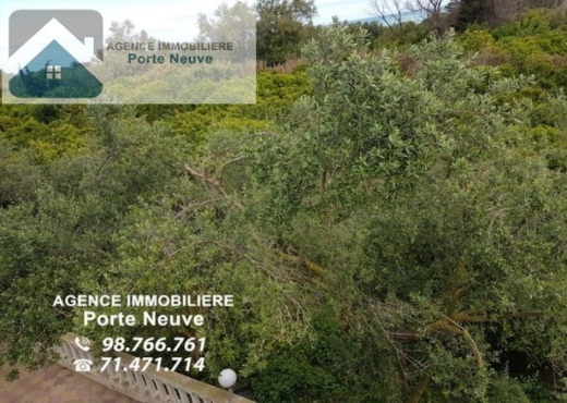 Maison de campagne 5000 m²  Ras je
