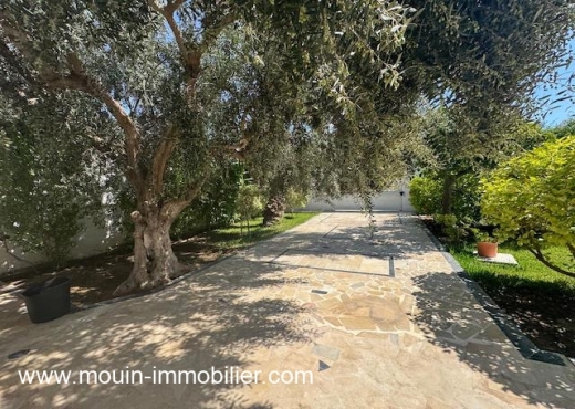 VILLA SUNSHINE HammametNord AL3590