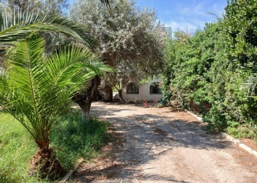 A Vendre Ferme + 2 Maison a Zaghouan