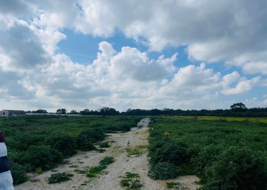 terrain À Vendre à NABEUL - A Vendre Terrain à Kerkouene Kelib - Immobiliere.tn - Photo 2