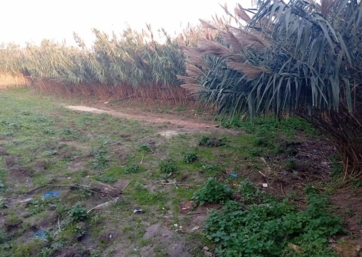 🏡 Terrain 315 m² à Ras El Djebel