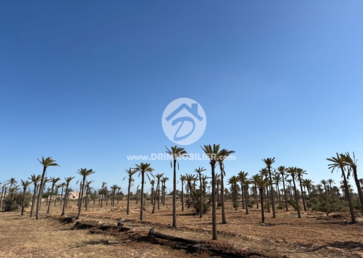 Terrain à vendre à Midoun Djerba