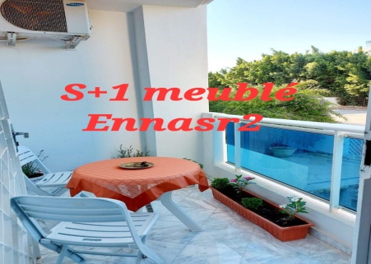 Particulier L Excellent S1 meublé